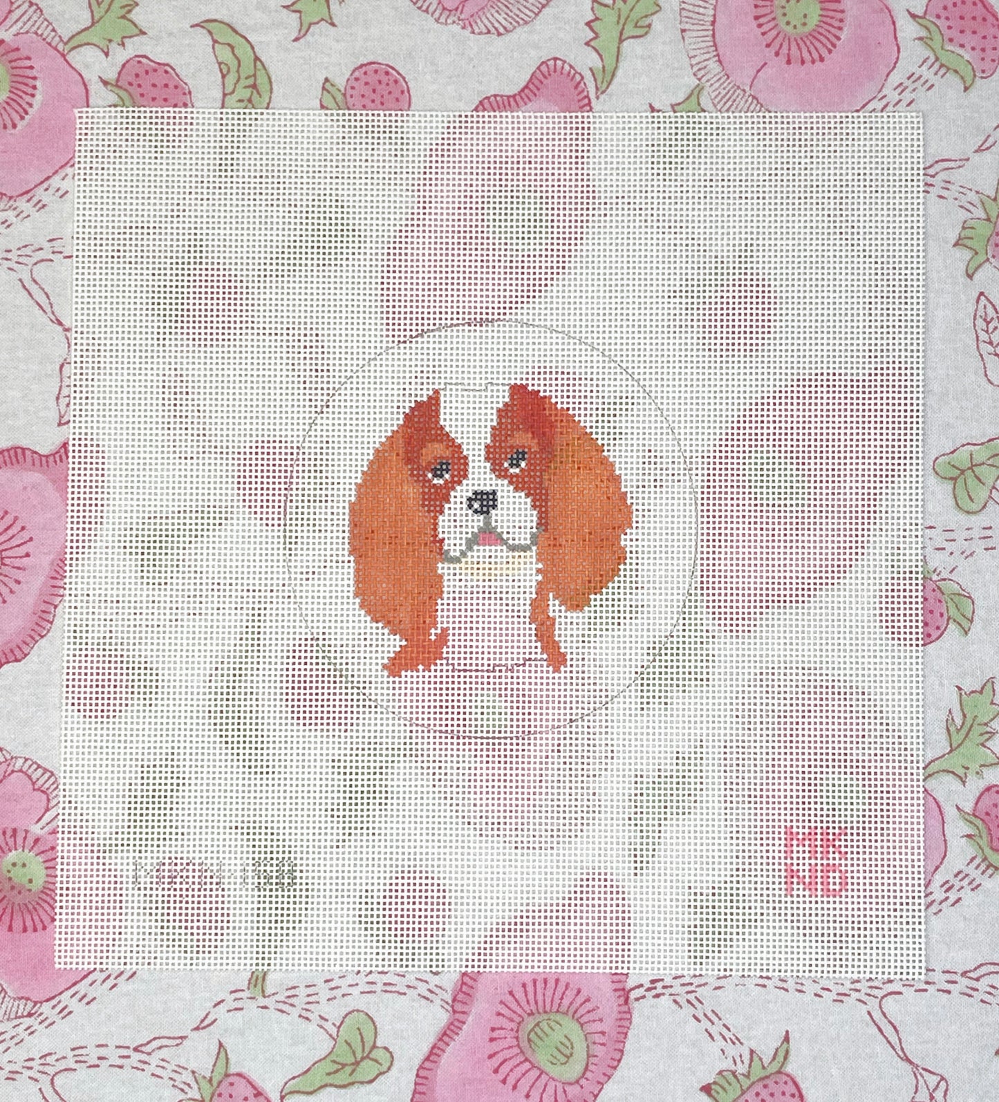 king charles cavalier