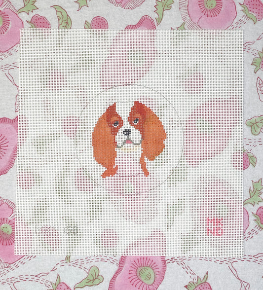 king charles cavalier