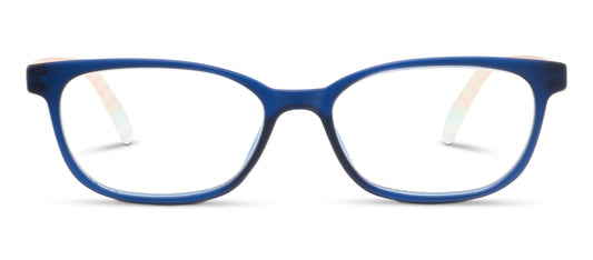 Beach Read - Navy/Summer Stripe